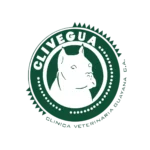 Logo importador cubycos (4)